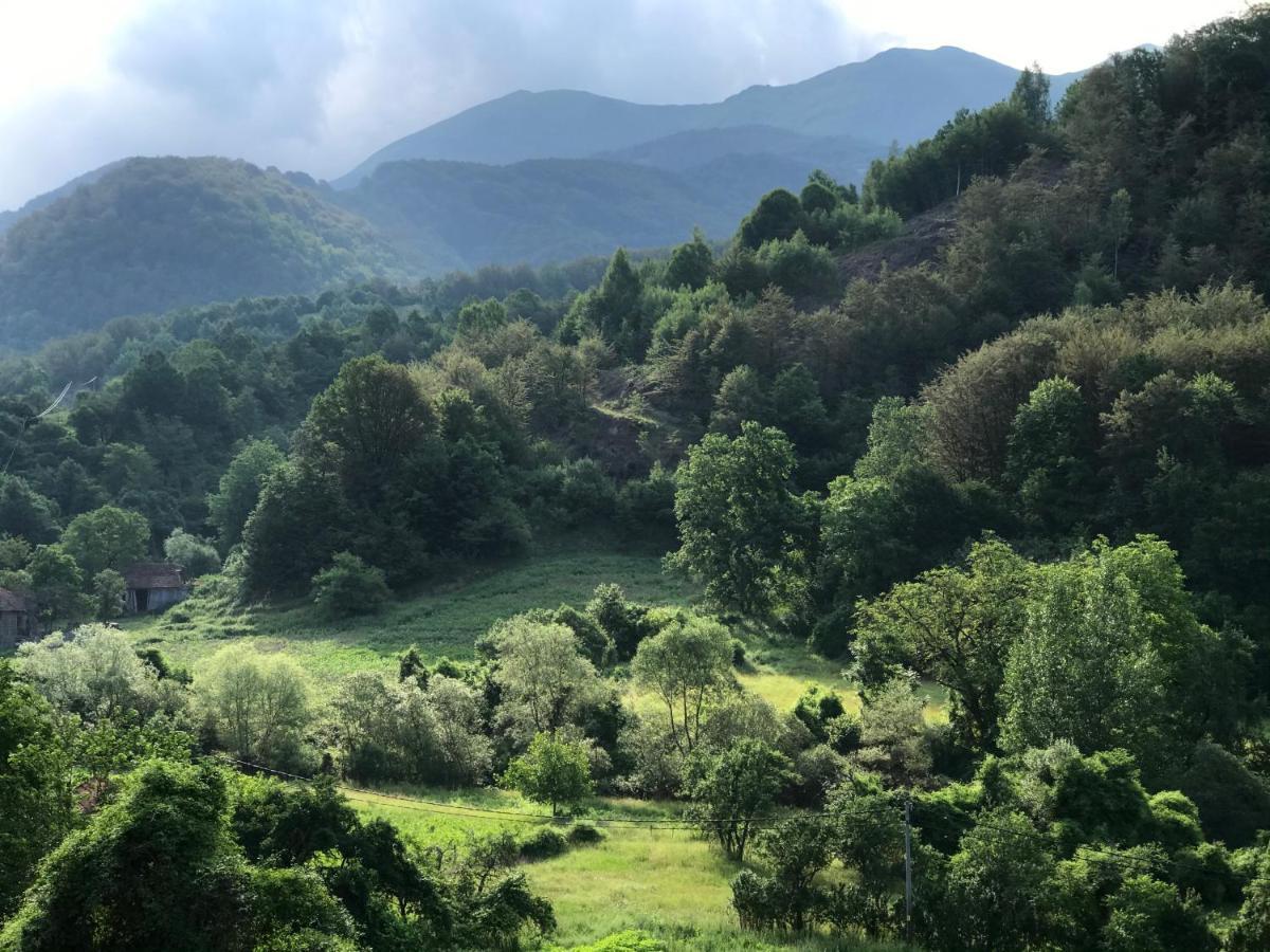 Aphrodite Hills Apartments-Stara Planina Crni Vrh Bagian luar foto