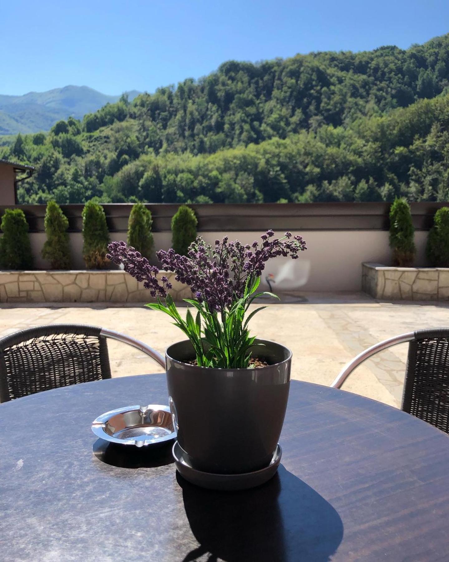 Aphrodite Hills Apartments-Stara Planina Crni Vrh Bagian luar foto