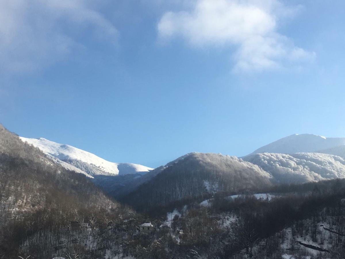 Aphrodite Hills Apartments-Stara Planina Crni Vrh Bagian luar foto